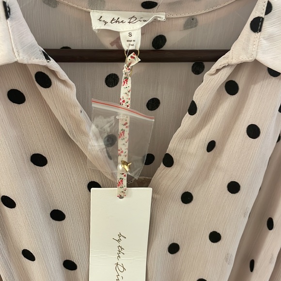 🪞🏞 sheer By the river poka dot dress🪞 - Picture 9 of 10